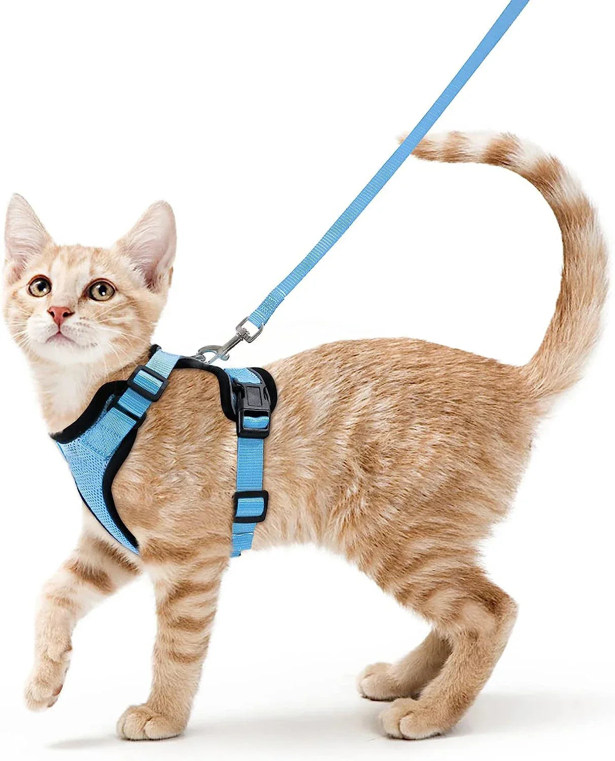 Escape-Proof Adjustable Cat Harness with Leash for Easy Control