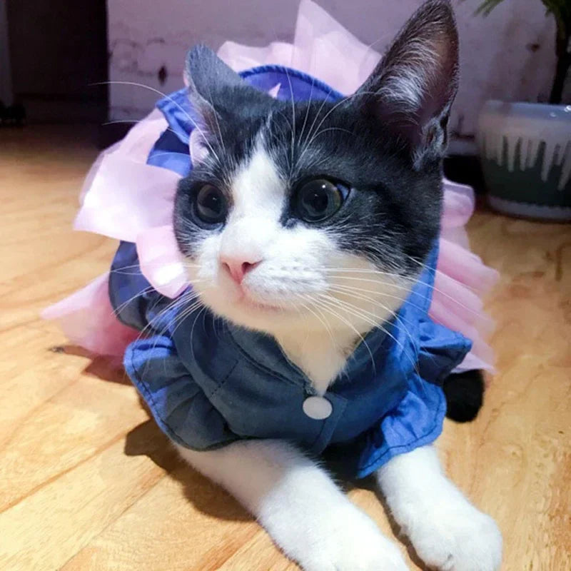 Sweet Denim Dresses for Cats & Dogs - Spring/Summer