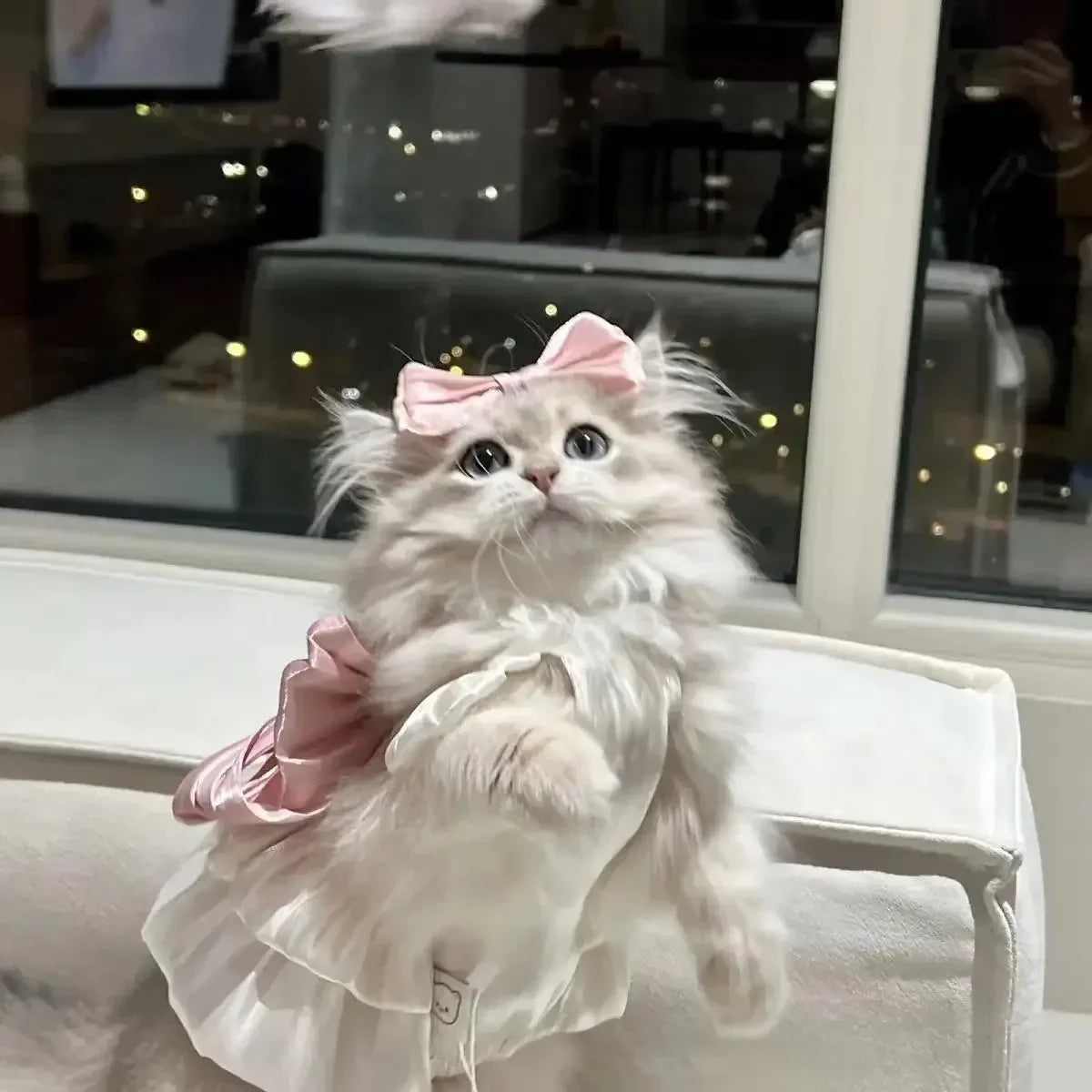 Breathable Spring/Summer Yarn Skirt for Cats & Dogs