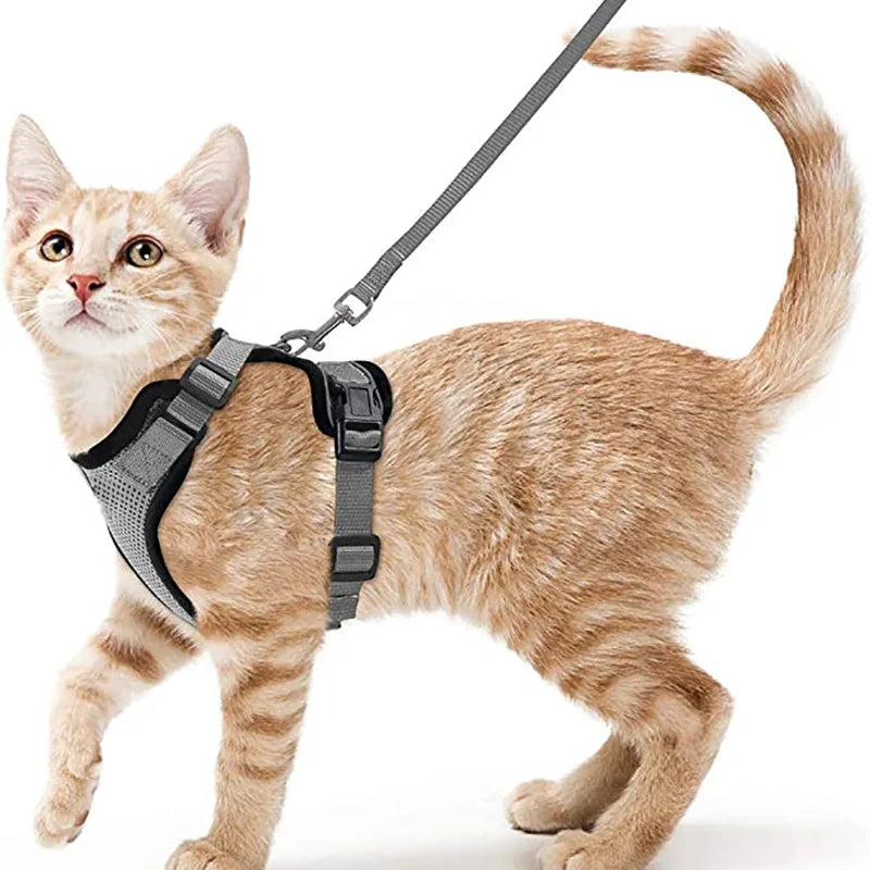 Escape-Proof Adjustable Cat Harness with Leash for Easy Control