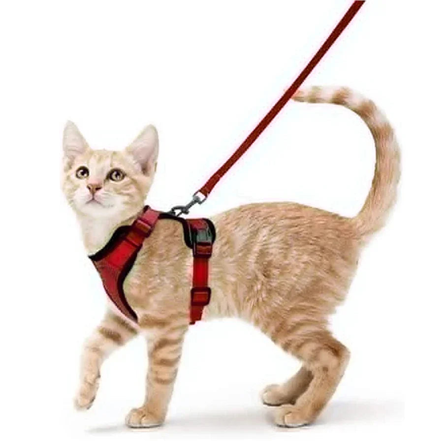 Escape-Proof Adjustable Cat Harness with Leash for Easy Control