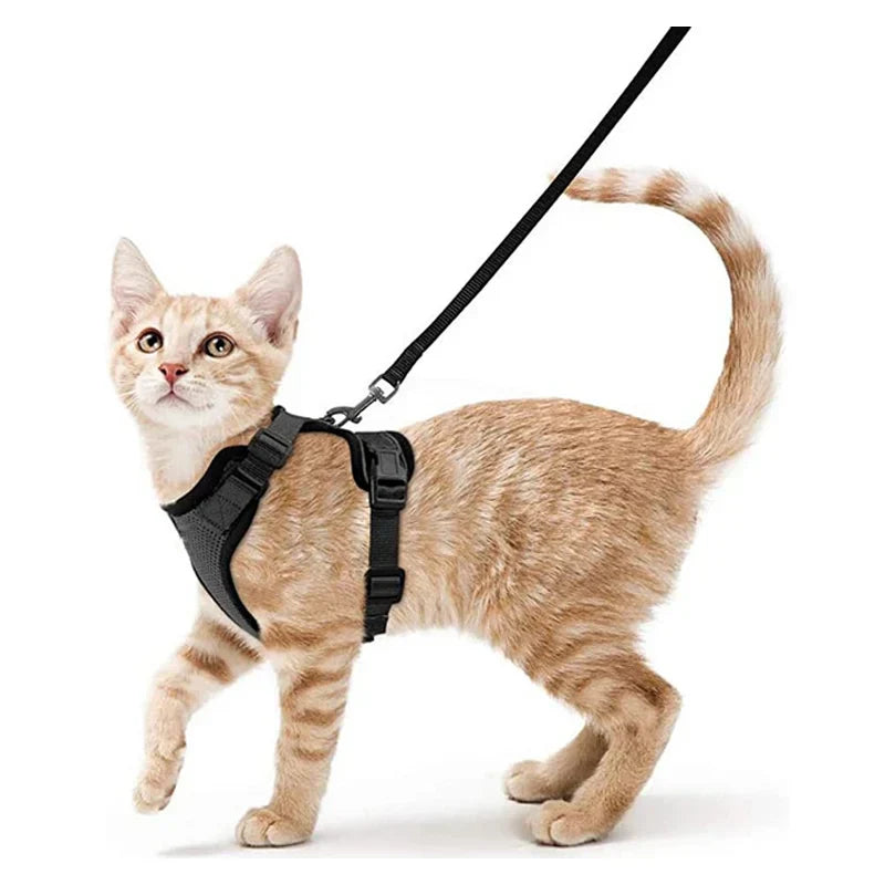 Escape-Proof Adjustable Cat Harness with Leash for Easy Control