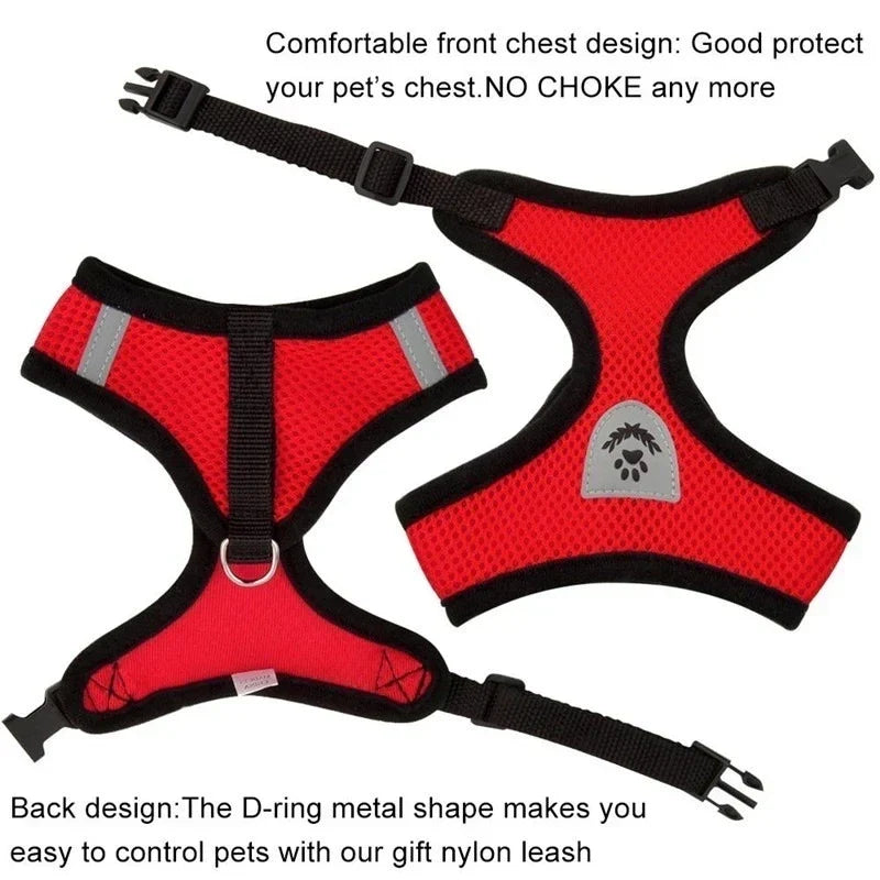 Adjustable Mesh Harness & Leash for Cats & Dogs - Small/Medium