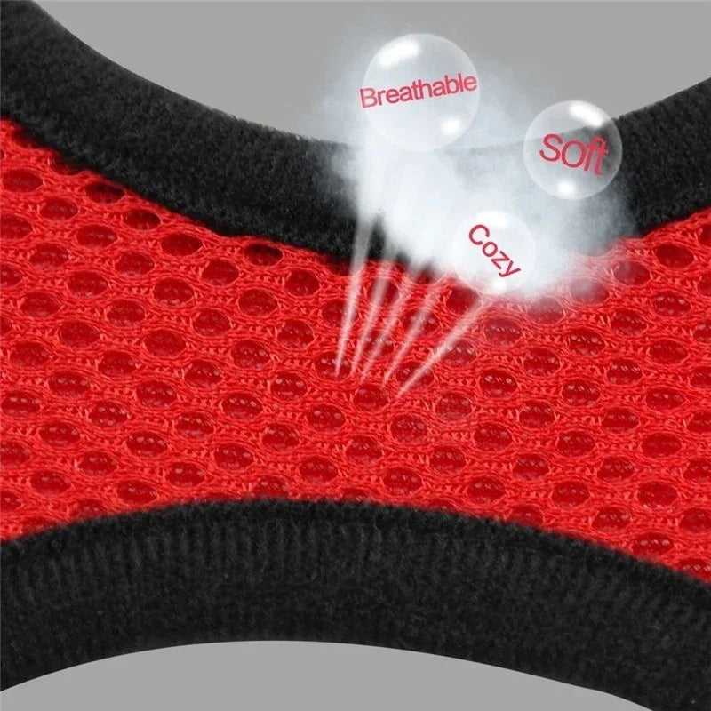Adjustable Mesh Harness & Leash for Cats & Dogs - Small/Medium