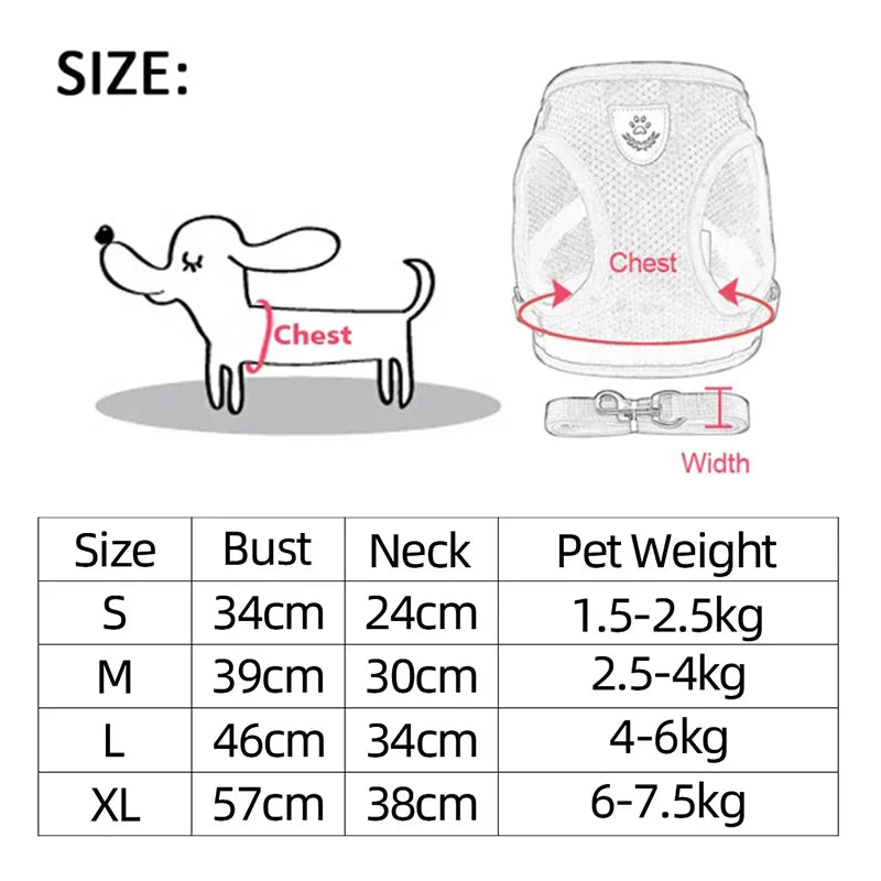 Adjustable Mesh Harness & Leash for Cats & Dogs - Small/Medium