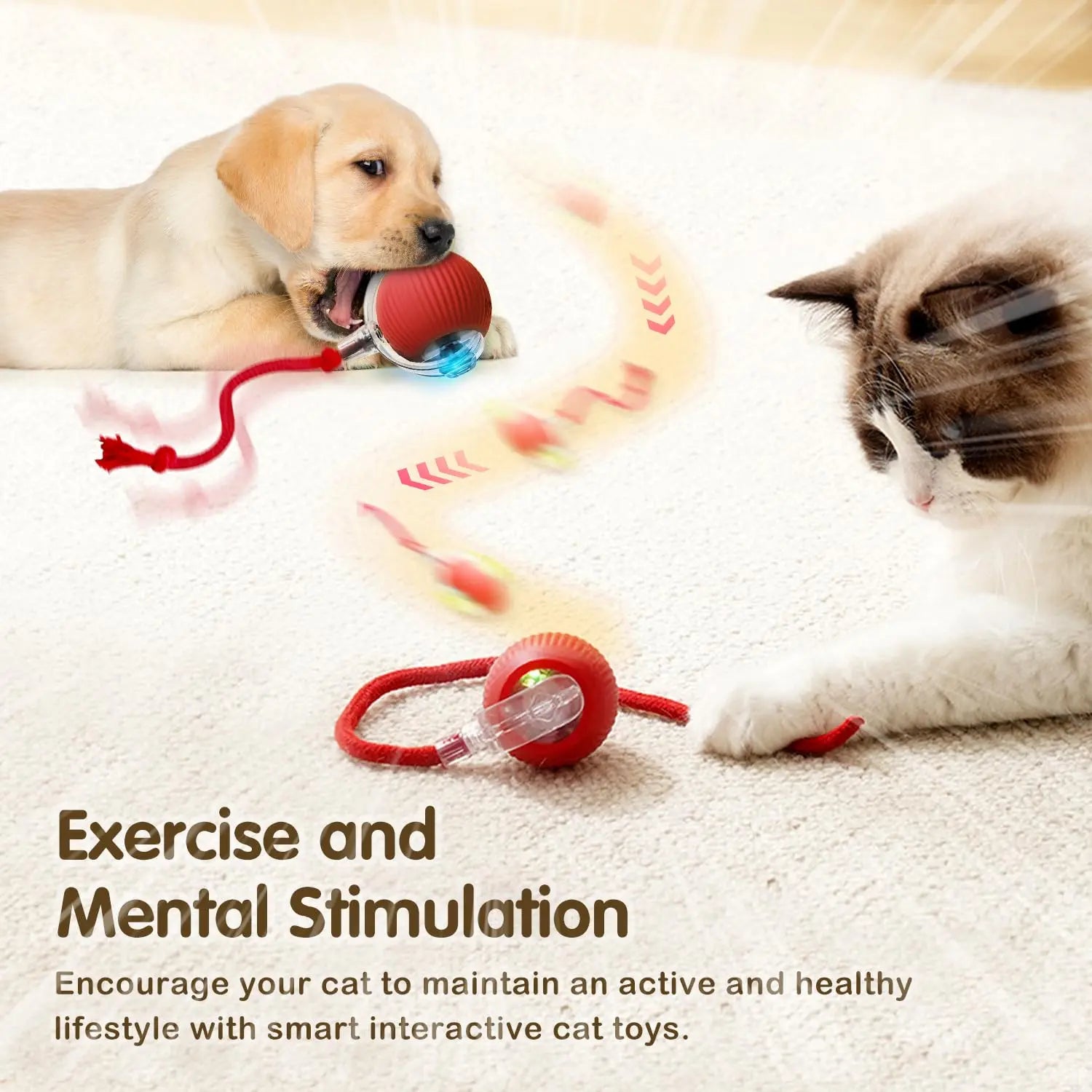 Rechargeable Interactive Cat Ball Toy - Automatic Rolling & Smart Mouse