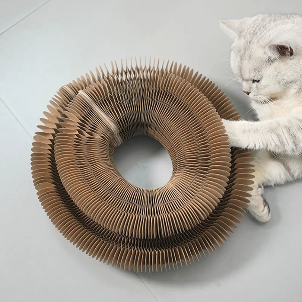 Interactive Cat Scratching Board - Accordion Toy & Claw Grinder