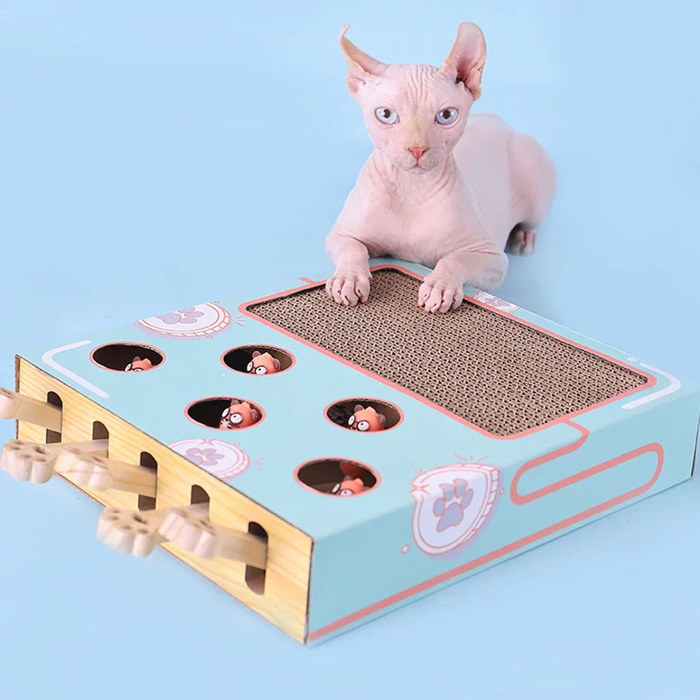 Interactive 3-in-1 Cat Maze Game with Scratcher & Hunt Toy