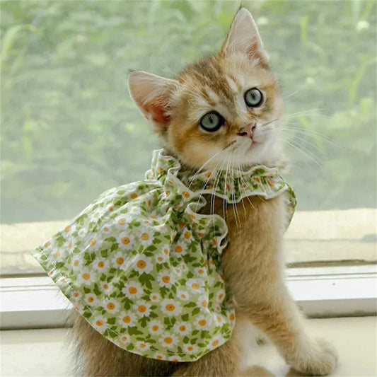 Summer Cotton Suspender Skirt for Sphynx Cats & Dogs - Princess Dress