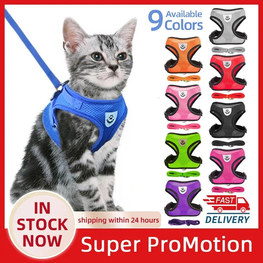 Adjustable Mesh Harness & Leash for Cats & Dogs - Small/Medium