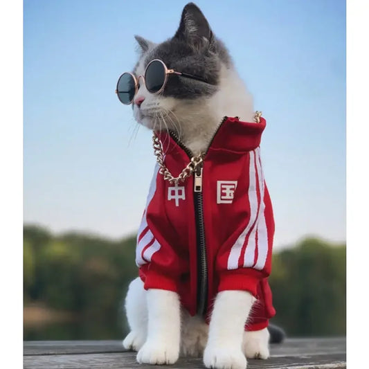 Cat & Kitten Clothes - Autumn/Winter Sportswear