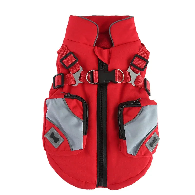 Reflective No-Pull Harness Coat for Sphynx Cats & Kittens