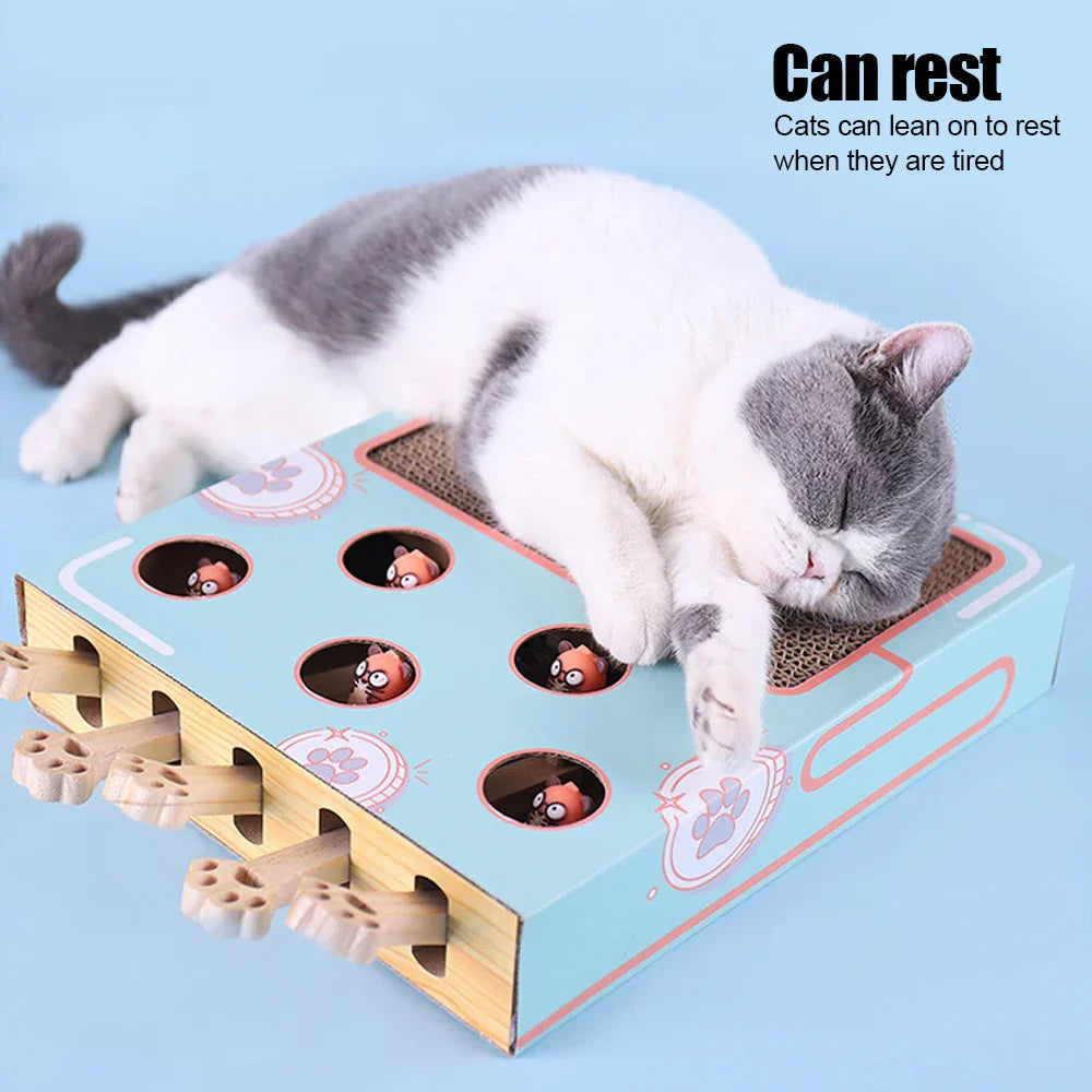 Interactive 3-in-1 Cat Maze Game with Scratcher & Hunt Toy