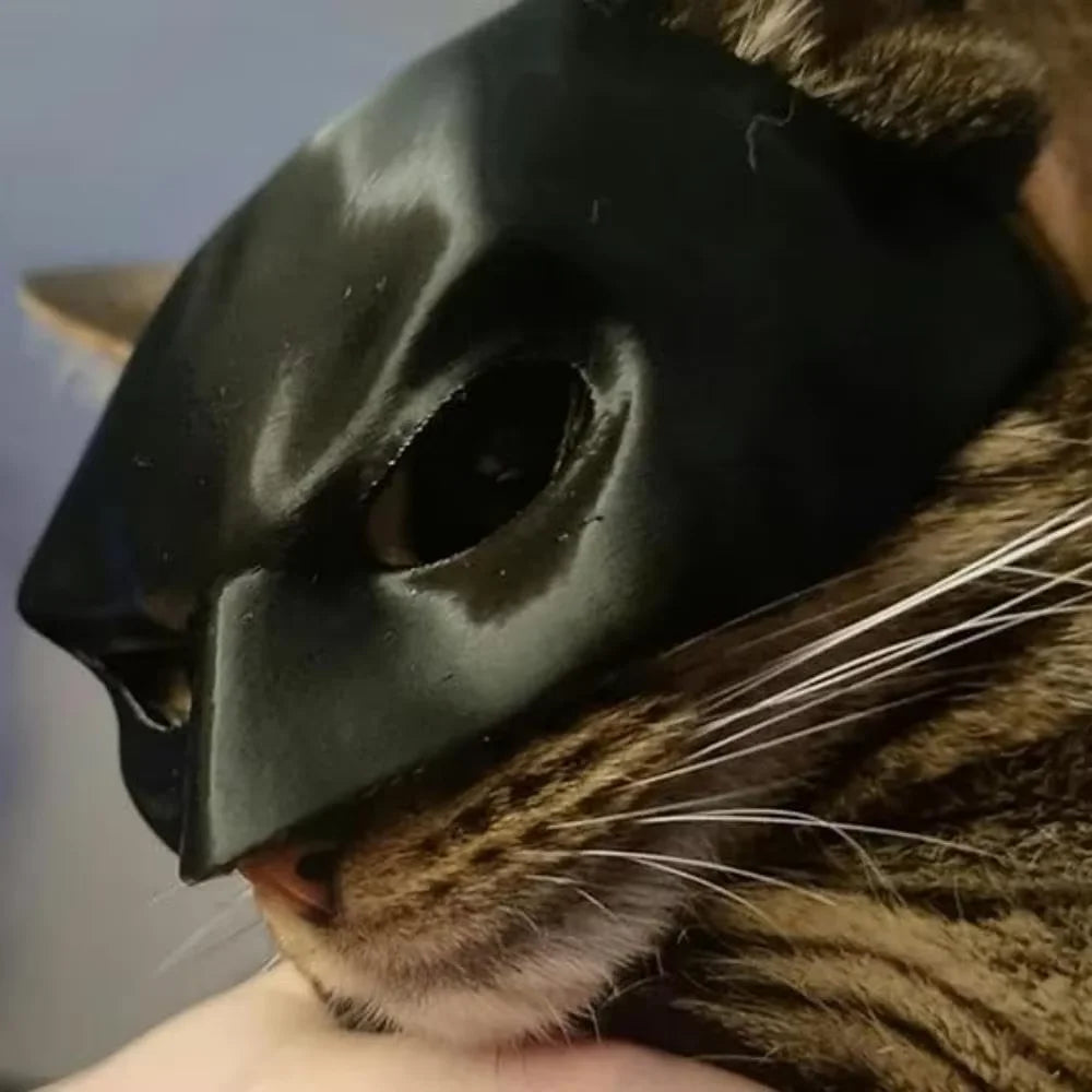 Black Matte Bat Mask for Cats & Dogs - Superhero Costume
