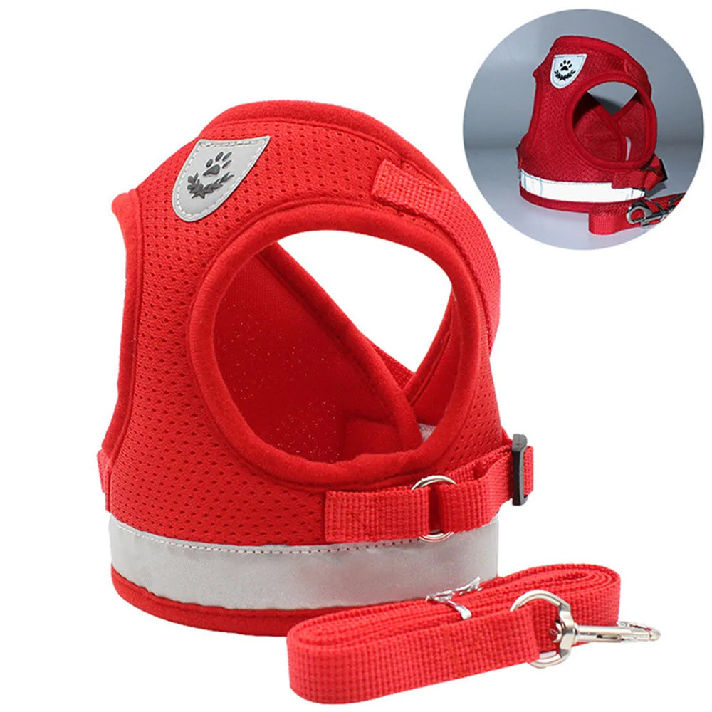 Adjustable Reflective Pet Harness & Leash - Escape Proof