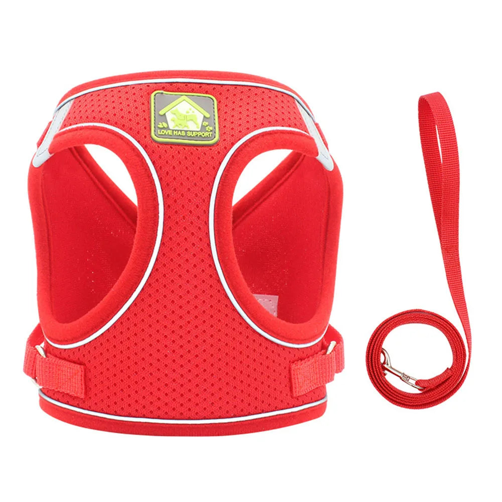 Adjustable Reflective Pet Harness & Leash - Escape Proof