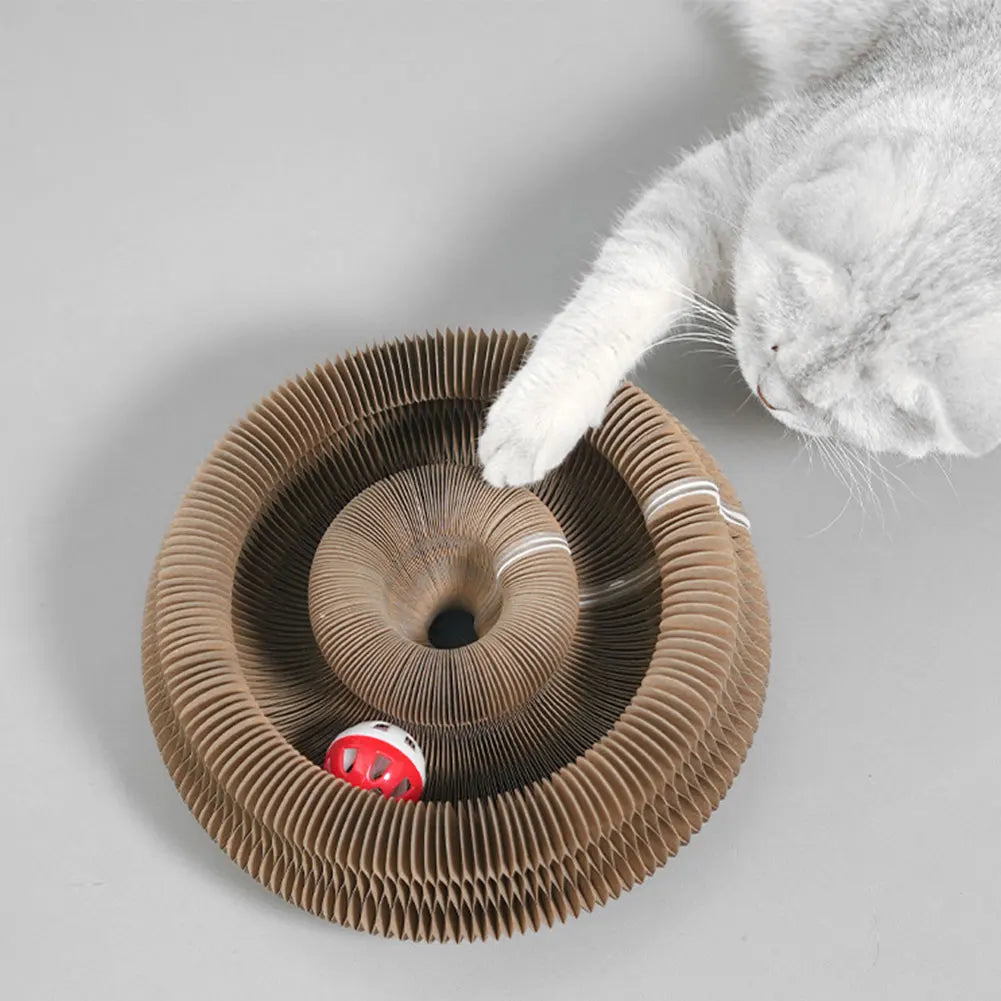 Interactive Cat Scratching Board - Accordion Toy & Claw Grinder