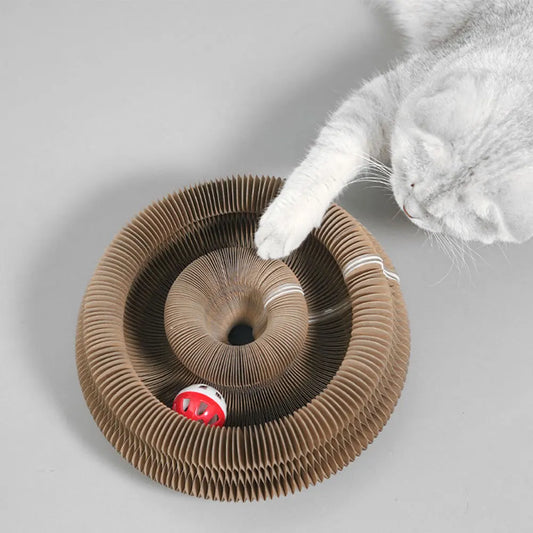 Interactive Cat Scratching Board - Accordion Toy & Claw Grinder