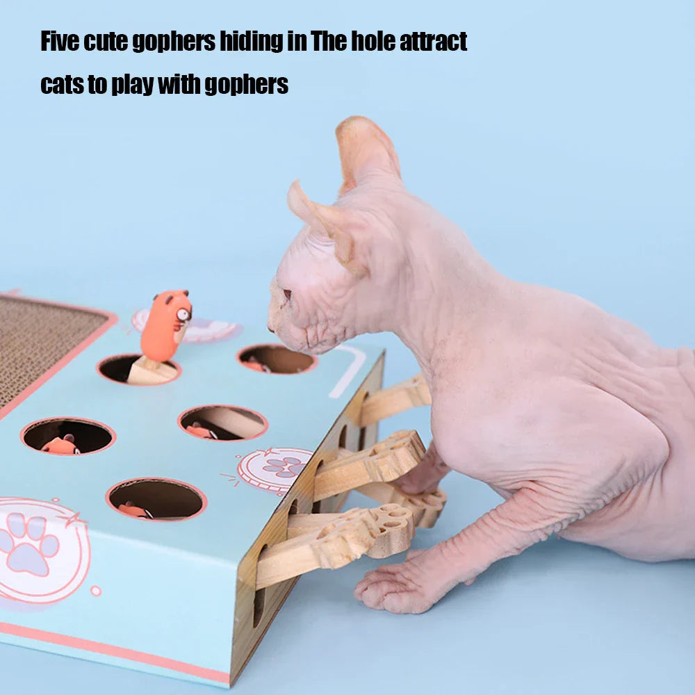 Interactive 3-in-1 Cat Maze Game with Scratcher & Hunt Toy
