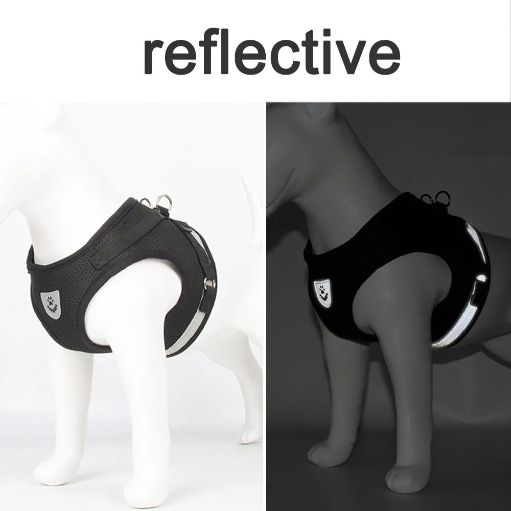 Adjustable Reflective Pet Harness & Leash - Escape Proof
