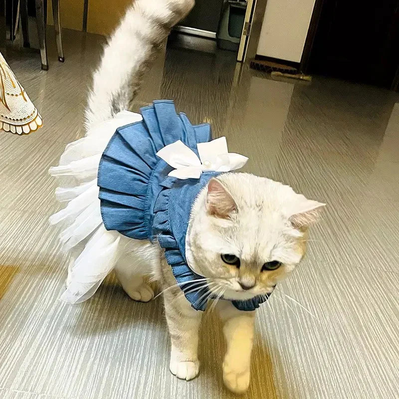 Sweet Denim Dresses for Cats & Dogs - Spring/Summer