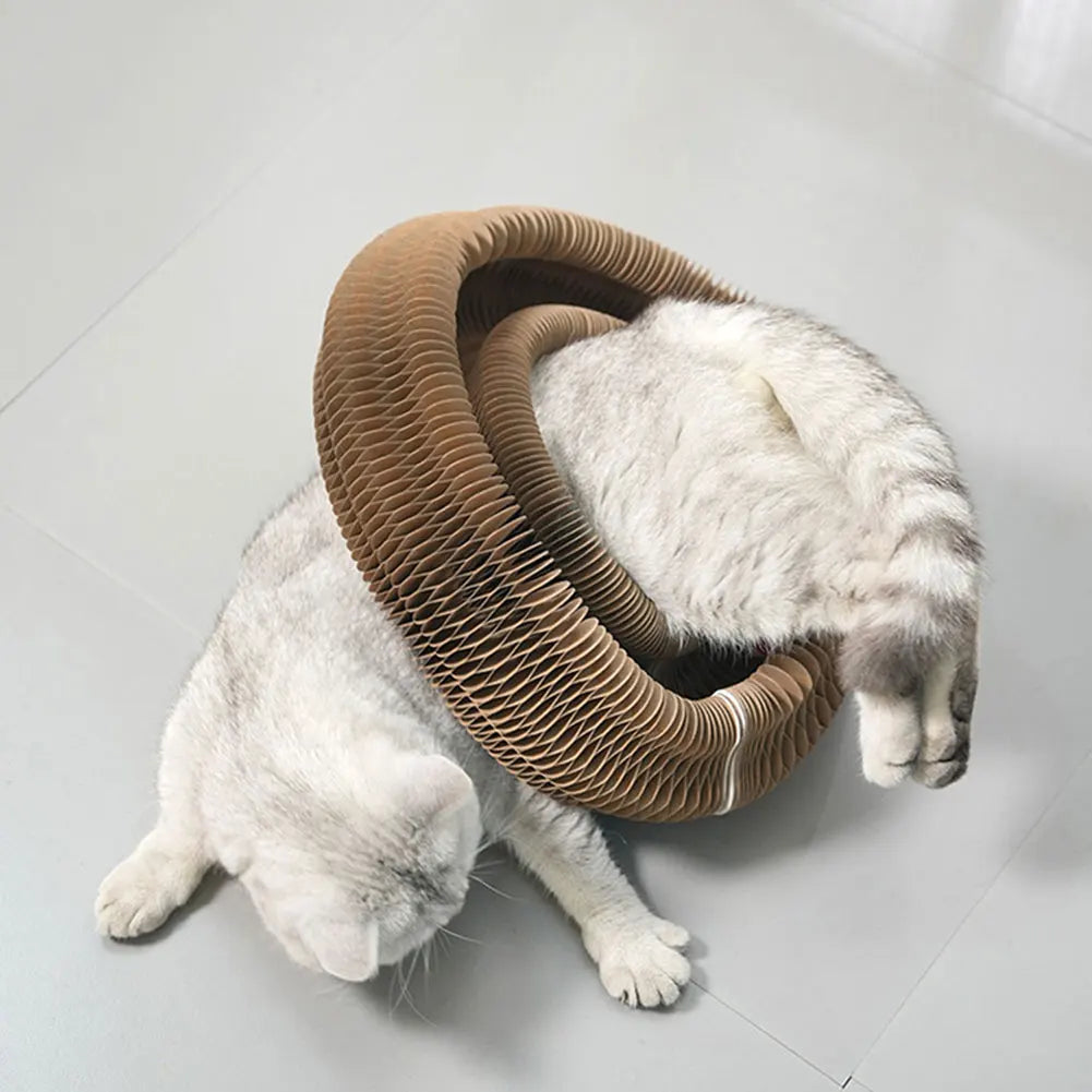 Interactive Cat Scratching Board - Accordion Toy & Claw Grinder