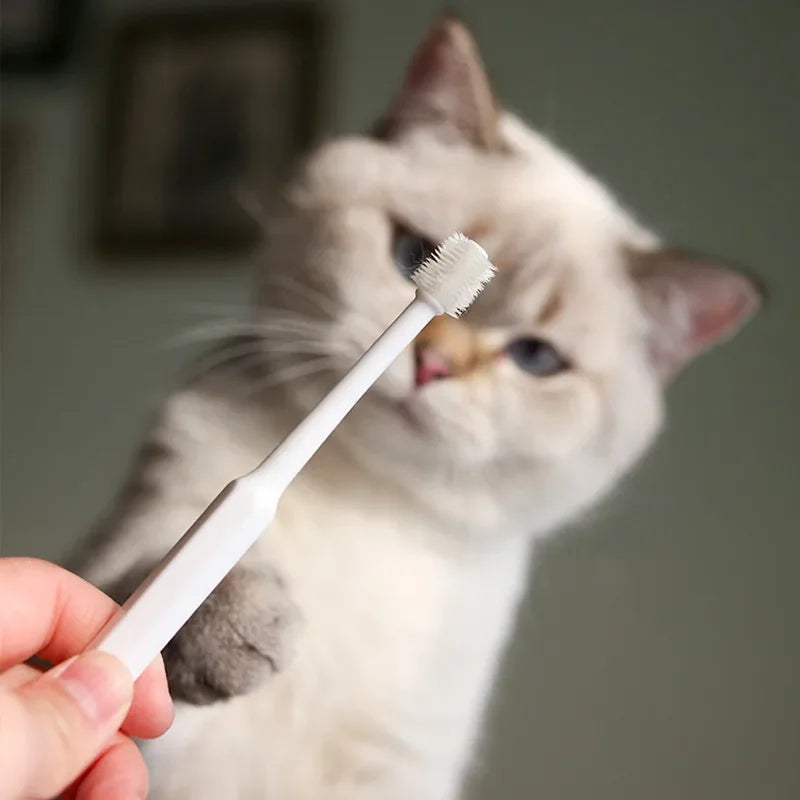 Soft Hair Cat Toothbrush for Teeth Cleaning & Pet Grooming