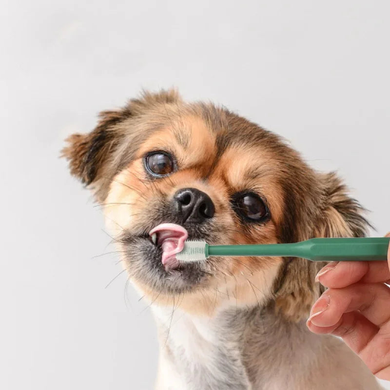Soft Hair Cat Toothbrush for Teeth Cleaning & Pet Grooming