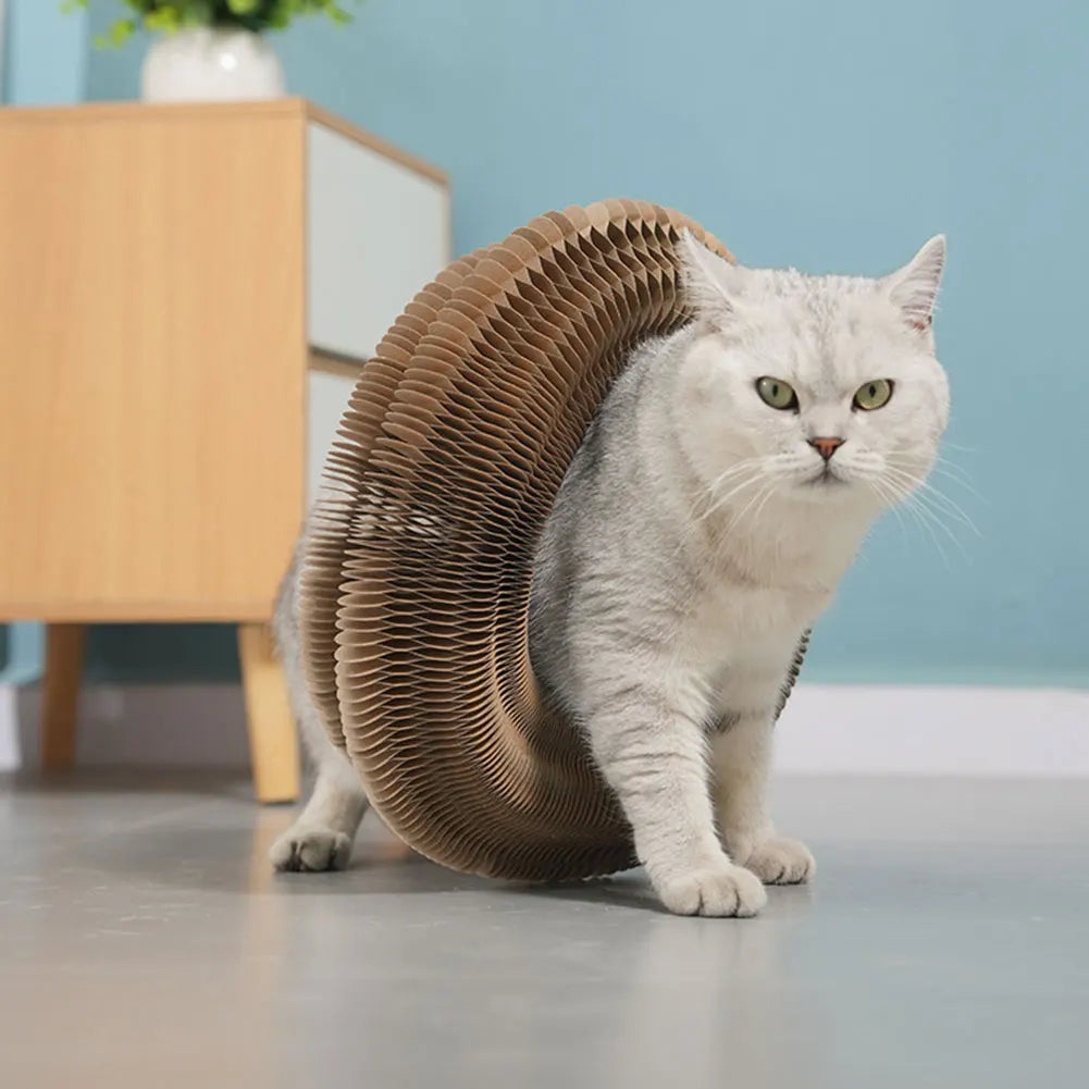 Interactive Cat Scratching Board - Accordion Toy & Claw Grinder
