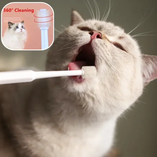 Soft Hair Cat Toothbrush for Teeth Cleaning & Pet Grooming