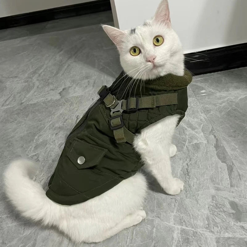 Reflective No-Pull Harness Coat for Sphynx Cats & Kittens